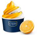 Sorbet Orange Split Il Primo One Shot